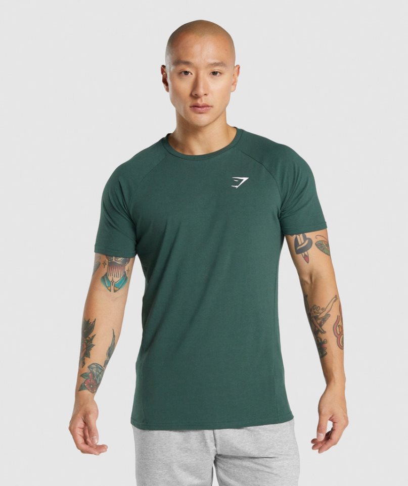 Men\'s Gymshark Critical 2.0 T-Shirts Dark Green | NZ 0GEQBX